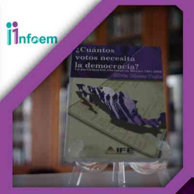 ¿Cuántos votos necesita la democracia? La participación electoral en México. 1961-2006